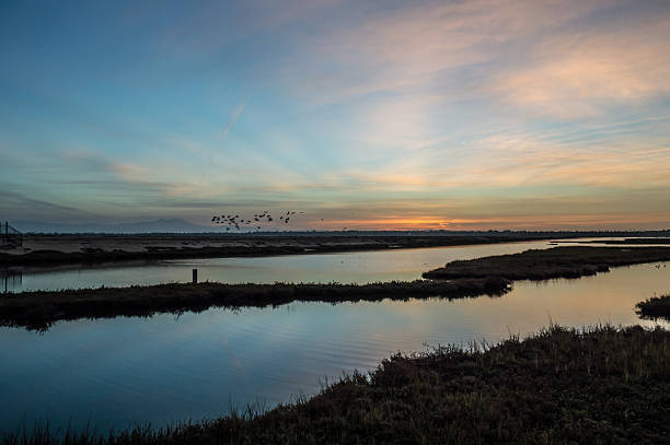 istock Sunrise over the wetlands 532238625