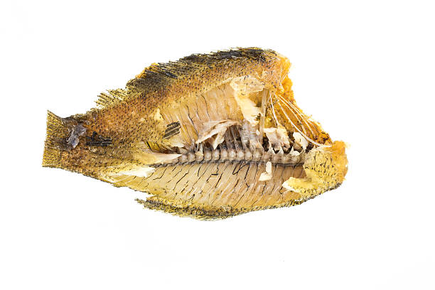 istock Deep fried  Snake Skin Gourami. 532238847