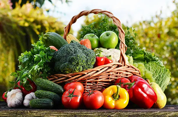 Photo of Wicker basket with assorted raw organic vegetables in the garden