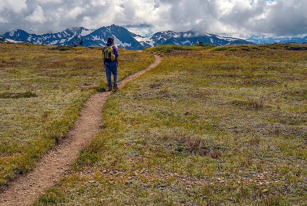 istock Olympica National Park Hike 532239219
