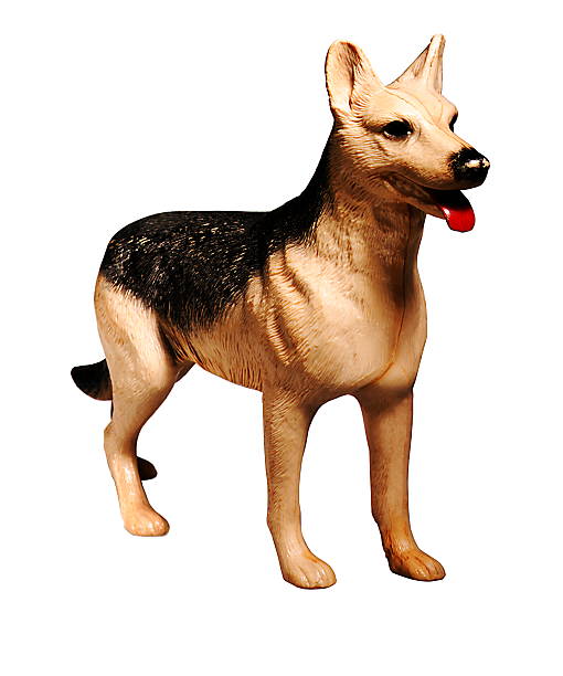 German Shepherd Dog stock photo