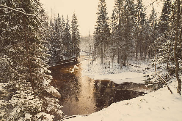 istock Frozen winter river landscape - retro vintage 532245781