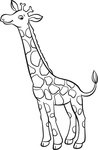 illustrations, cliparts, dessins animés et icônes de petite girafe se joli et des sourires. - cartoon giraffe young animal africa