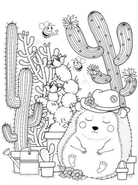 사랑스러운 고슴도치, 캐터스 - echinocereus stock illustrations