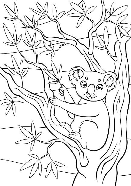 小さなかわいいコアラに位置し、木々とユーカリを保持します。 - koala australia animal isolated点のイラスト素材／クリップアート素材／マンガ素材／アイコン素材