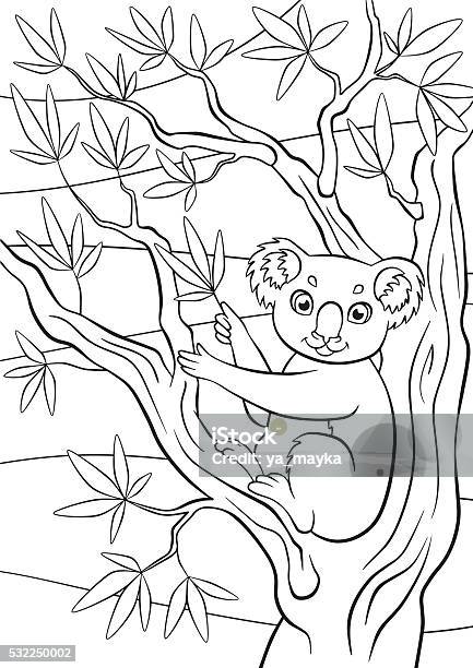 Little Cute Koala Sits On The Tree And Holds Eucalyptus Stock Illustration - Download Image Now