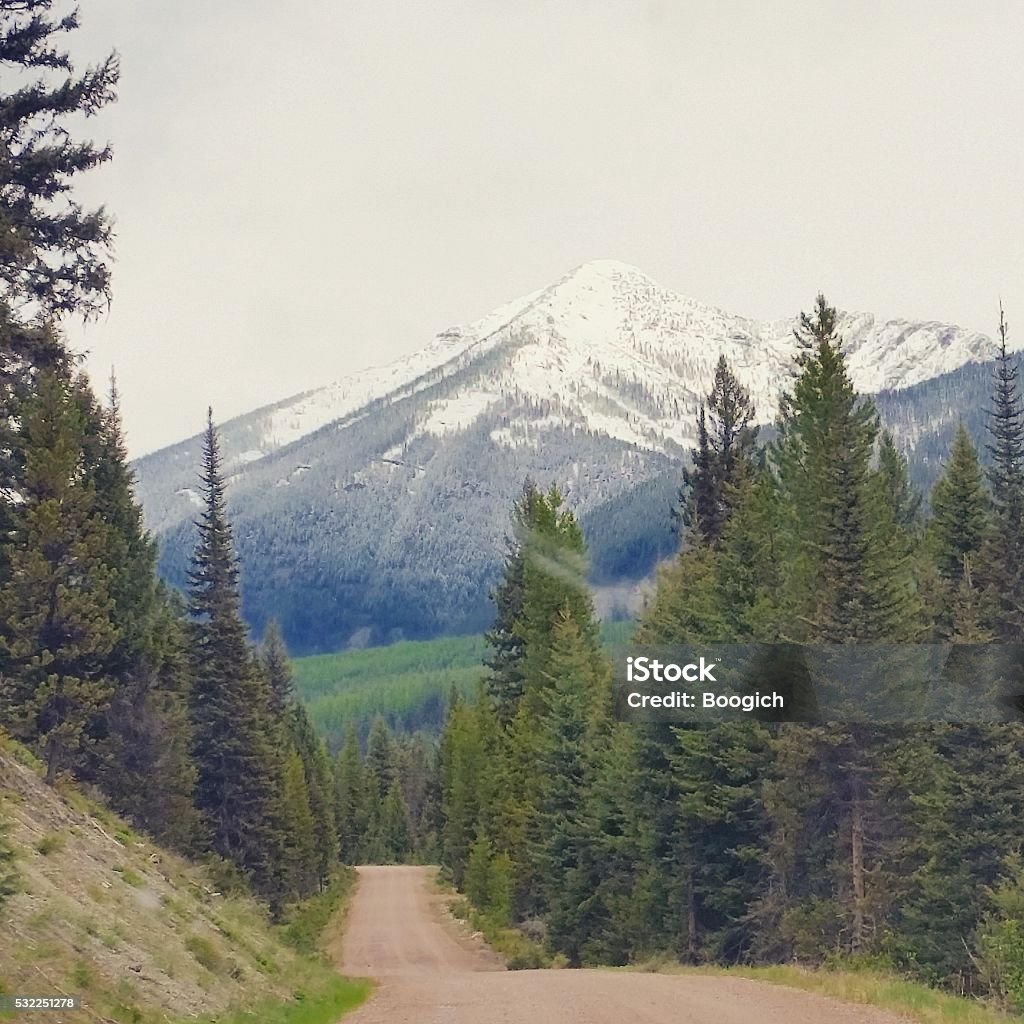 Rural Dirt Road in Montana with Glacier Dirt Road Stock Photo