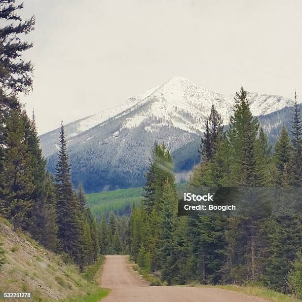 Rural Dirt Road In Montana With Glacier Stock Photo - Download Image Now - Dirt Road, Forest, Glacier