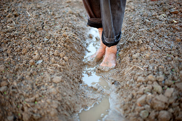 istock Farmer's feet 532251518