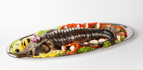 Tray with whole sturgeon fish baked  on white background