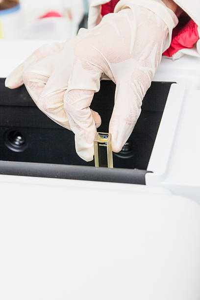 istock Scientists,research of rice. 532253570