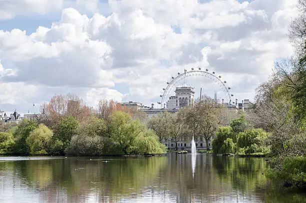London Eye seen from St,James's Park with pond in foreground, during daytime springtime, and fountain in background