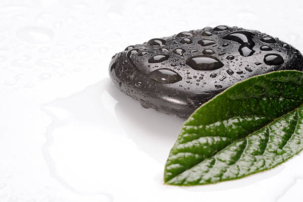 istock spa basalt stones and green leaves with water drops 532254774