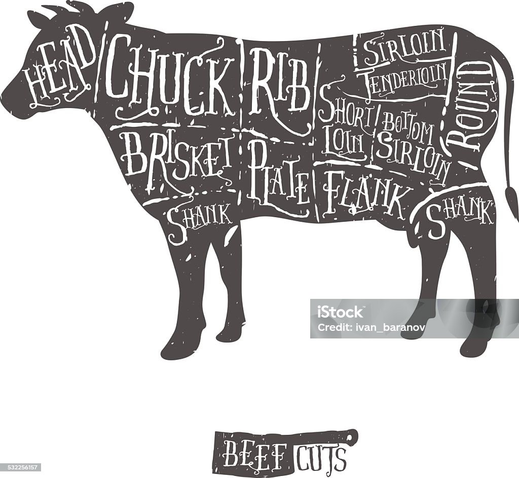 Vintage hand drawn butcher cuts of beef scheme Vintage hand drawn butcher cuts of beef scheme. Cutting stock vector