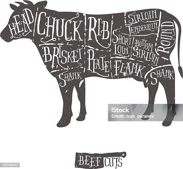 Vintage Hand Drawn Butcher Cuts Of Beef Scheme Stock Illustration - Download Image Now - Cutting, Beef, Cow