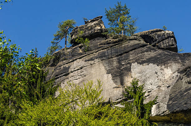 istock bizarre rocks in Saxon Switzerland 532257074