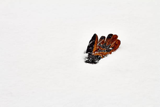 istock Lost glove in snow storm 532257675