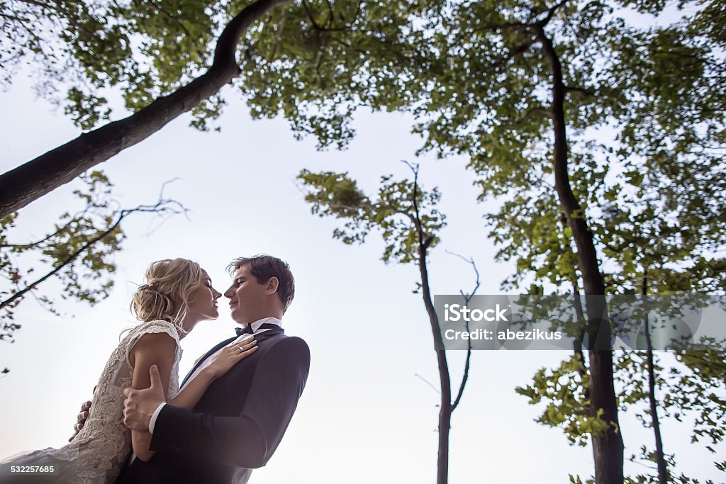 wedding couple beautiful, young wedding couple on the background of beautiful nature. 2015 Stock Photo