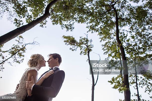 Wedding Couple Stock Photo - Download Image Now - 2015, Adult, Bride