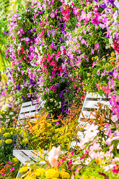 istock Flowers in the garden. 532257700