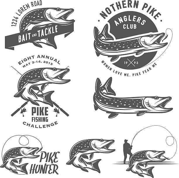 illustrazioni stock, clip art, cartoni animati e icone di tendenza di vintage pike pesca emblemi, etichette ed elementi di design - freshwater fishing