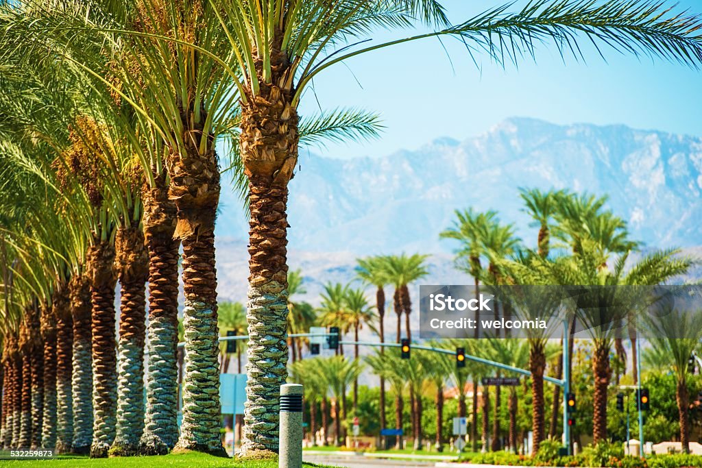 Palms Road Coachella Valley Palms Road Coachella Valley. Highway 111 in Indian Wells, California, USA. Indian Wells - California Stock Photo