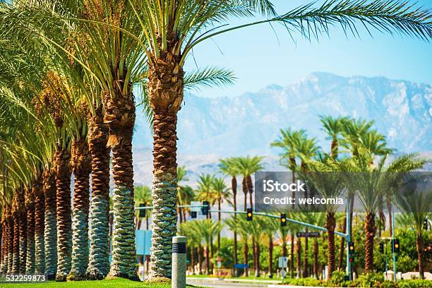 Palms Road Coachella Valley Stock Photo - Download Image Now - Indian Wells - California, Coachella Valley, Elegance