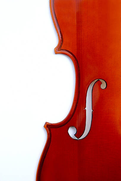 istock body part of violin 532260018