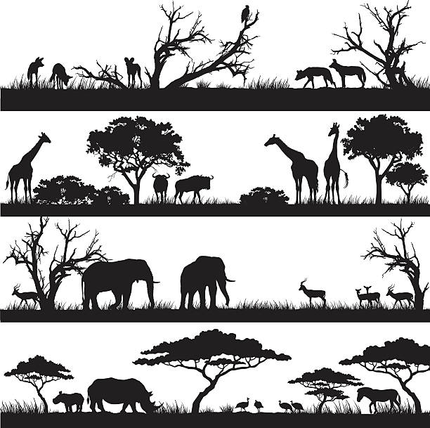 ilustraciones, imágenes clip art, dibujos animados e iconos de stock de african safari siluetas - llanura