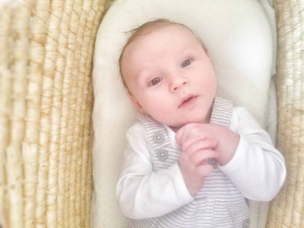 istock Baby boy in Moses basket with an angelic pose 532262298