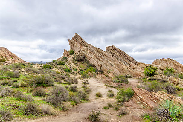 rochedos de vasquez natural area parque depois da chuva - vasquez rocks imagens e fotografias de stock