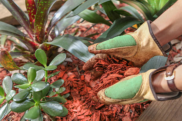 jardim manutenção com mulch vermelho woodchip de madeira - flower pot gardening glove glove protective glove - fotografias e filmes do acervo