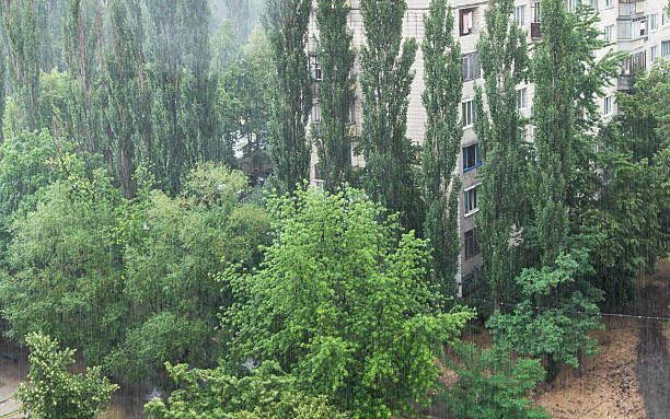 istock Heavy rain in the city 532270394