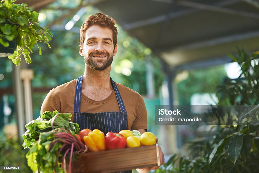 Organically grown produce without the pesticides - Royalty-free Groente Stockfoto