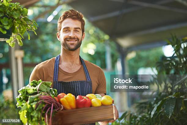 Organically Grown Produce Without The Pesticides Stockfoto en meer beelden van Groente - Groente, Boer - Agrarisch beroep, Mannen