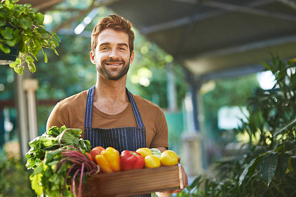 Organically grown produce without the pesticides Portrait of a man holding a crate full of fresh produce in a farmer's market market vendor photos stock pictures, royalty-free photos & images
