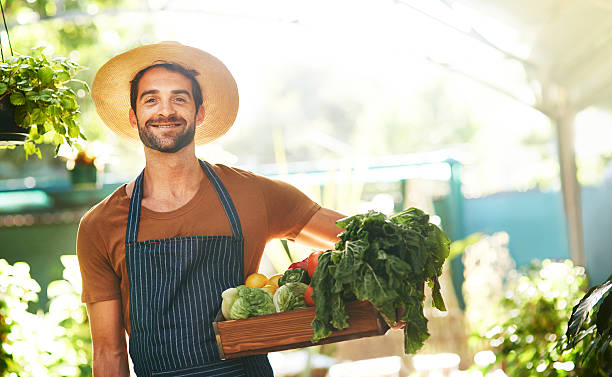 istock Grown locally, grown organically 532270582