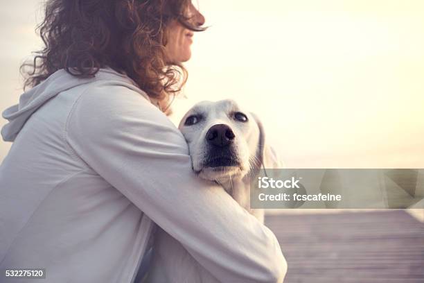 Protective Woman Embracing His Dog While Looking The View Stock Photo - Download Image Now