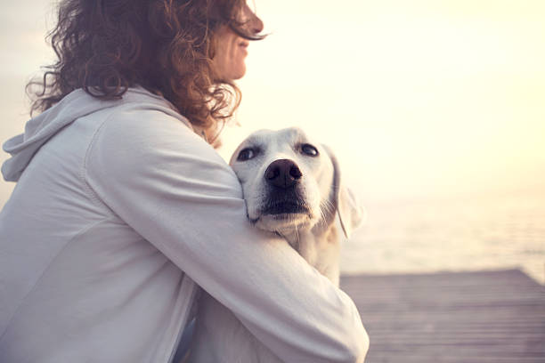 proteção mulher abraçando seu cachorro olhando a vista - dog pets stroking women - fotografias e filmes do acervo