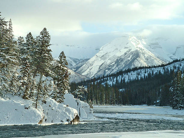 istock Banks of the Bow River  in Winter 532281903