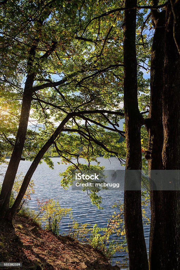 sundown at Montiggl lake in South Tyrol evening at the shore of the large Montiggl lake in South Tyrol, Italy 2015 Stock Photo