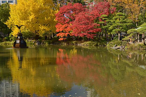 istock Autumn Colors in Tokyo 532283997