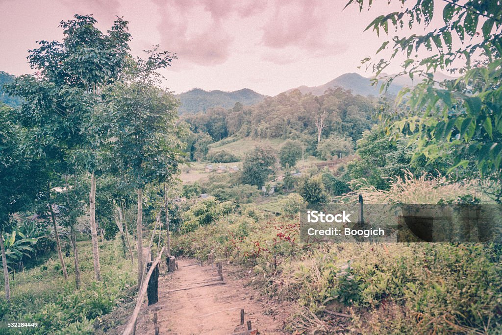 Pai Thailand Scenic Path up Mountain Landscape Nature This is a horizontal color photograph of the scenic outdoor, mountain landscape in Pai, Thailand. A narrow, simple pathway leads downhill through the shrubs and trees. Photographed in the late afternoon with a Nikon D800. The photograph has been color toned and film grain added. 2015 Stock Photo