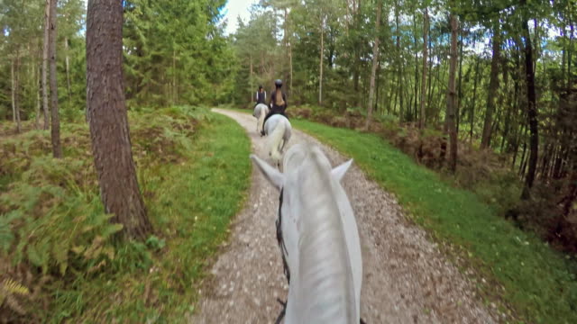 POV Riding a running horse through forest along a lake
