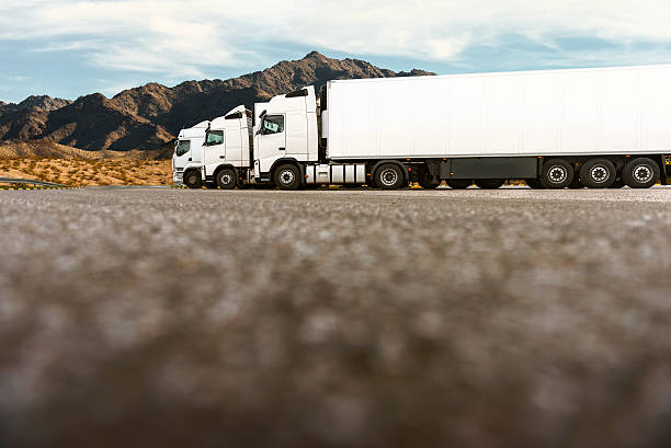 Three trucks in a row of transporting company