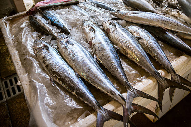 istock Tuna at Dubai fish market 532288901