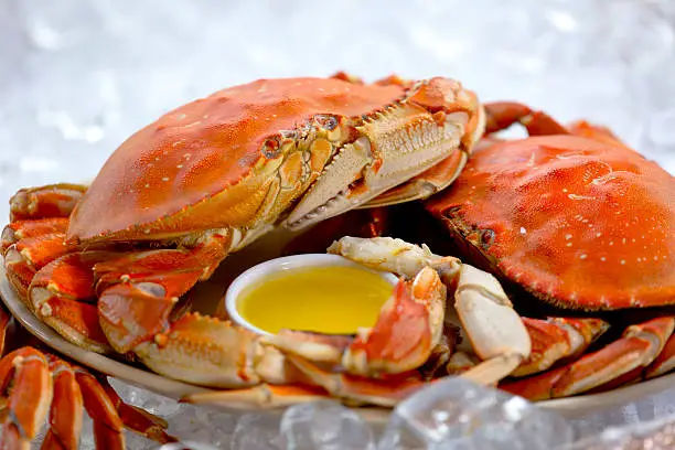 Cooked Dungeness Crab with butter.