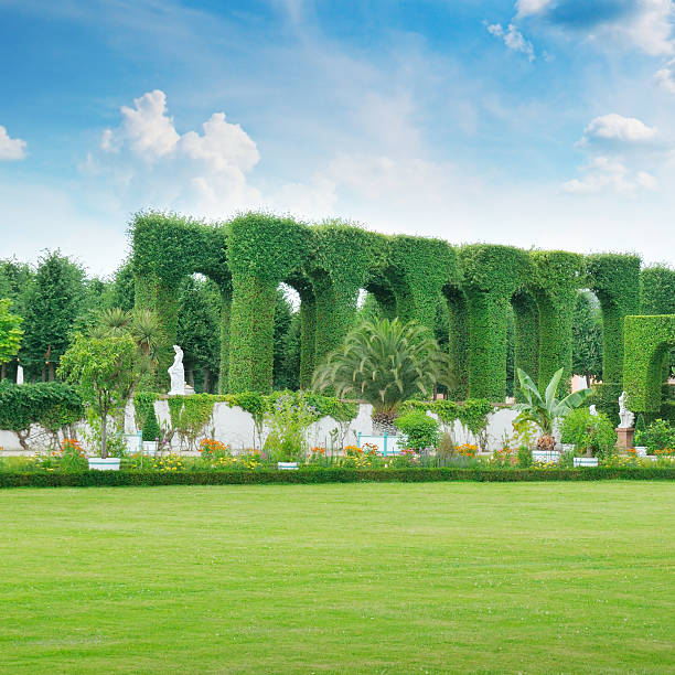 lawn and hedge in a summer park