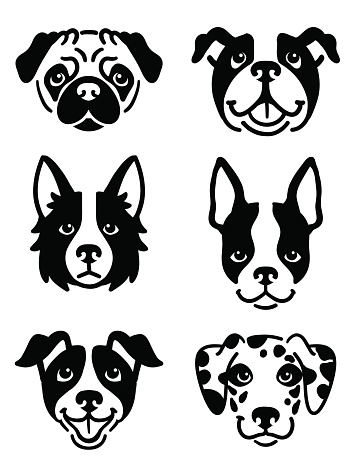 A set of 6 dog icons featuring the faces of a Pug, English Bulldog, Border Collie, Boston Terrier, Jack Russel Terrier, and a Dalmatian. Black and white vector symbols.