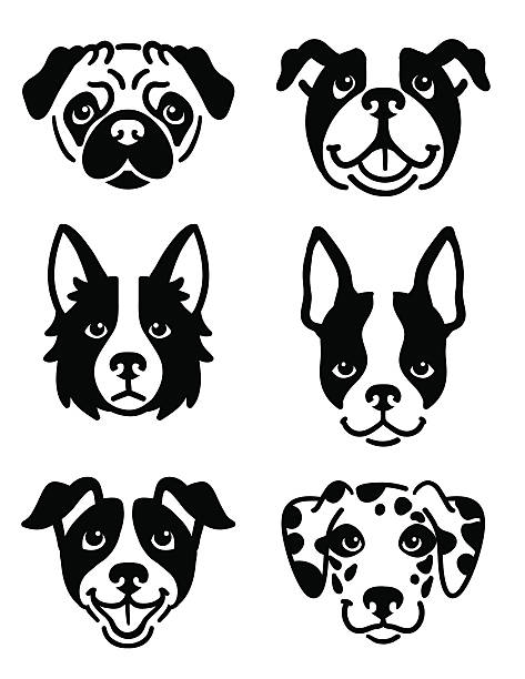 Stylised dog icons A set of 6 dog icons featuring the faces of a Pug, English Bulldog, Border Collie, Boston Terrier, Jack Russel Terrier, and a Dalmatian. Black and white vector symbols. pug stock illustrations